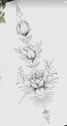 a drawing of flowers with leaves on the side