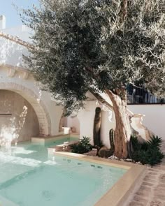 an outdoor swimming pool next to a large tree and stone wall with arched doorways