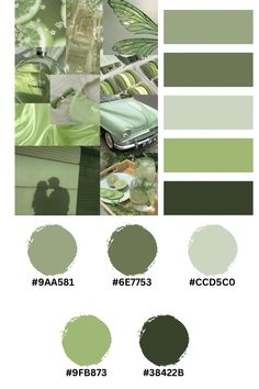 the color scheme for green is shown here