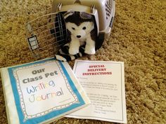 a stuffed animal in a cage next to a book and instructions for class pet written on it