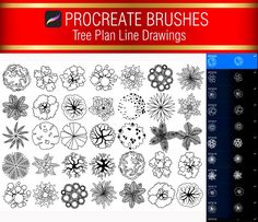 the procreate brushes tree plan line drawings are shown in black, white and red