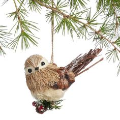 a bird ornament hanging from a pine tree