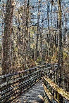 a wooden bridge in the middle of a forest