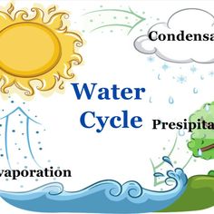 the water cycle is shown in this graphic