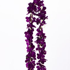 purple flowers hanging from the side of a white wall