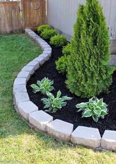 a small garden with green plants in the middle