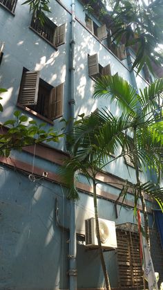 a tall blue building with lots of windows and palm trees in front of it on a sunny day