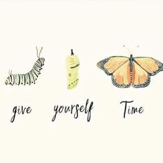 the words give yourself time and a butterfly with a caterpillar attached to it