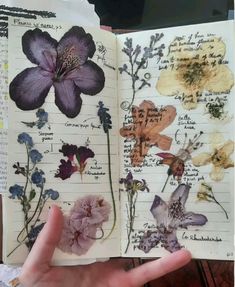 a hand holding an open book with flowers on it and writing in the pages next to it