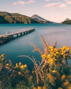 a wooden bridge over a body of water with mountains in the background