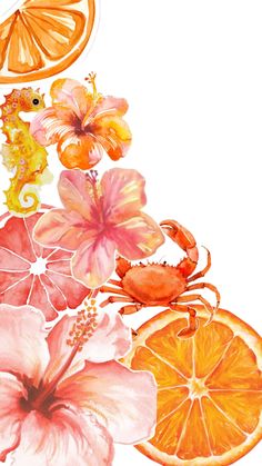 an image of oranges, flowers and sea animals on a white background in watercolor