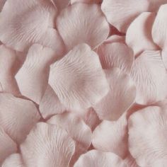 close up view of pink petals on the surface, textured with soft shading