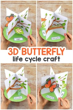 the 3d butterfly life cycle craft is shown with instructions to make it in three different stages