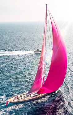 a pink sailboat sailing in the ocean