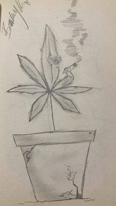 a pencil drawing of a potted plant with leaves on it's top and bottom