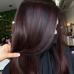 Dark Brown Hair With Red Lowlights, Red Highlights In Brown Hair, Purple Balayage, Red Hair With Highlights, Black Red Hair, Highlights Curly, Haircut Inspo, Dark Brunette Hair