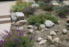 some rocks and flowers in the middle of a garden