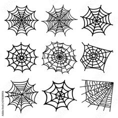 spider webs and cobwes on white background, set of nine images