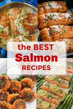 the best salmon recipes and how to cook them