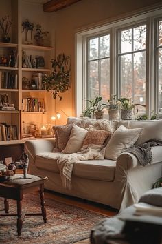 a living room filled with furniture next to a window covered in bookshelves and potted plants