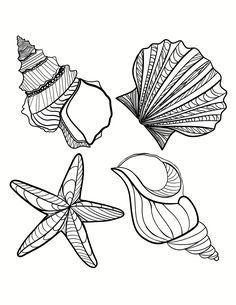 Dive into creativity with our captivating hand-drawn sea/ocean themed coloring sheets. Perfect for all ages, unlock a world of relaxation and imagination. Hand Drawn Coloring Pages, Ocean Theme Drawings, Ocean Line Art, Ocean Themed Coloring Pages, Zentangle Ocean Patterns, Underwater Colouring Pages, Zentangle Ocean Under The Sea