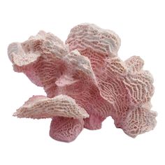 pink and white crocheted corals against a white background with clipping for text