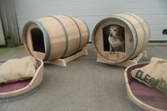 a dog sitting in a wine barrel shaped bed