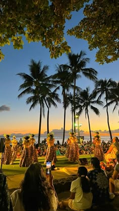 people are sitting on the grass near palm trees