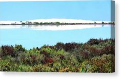 a lake surrounded by trees and bushes with clouds in the sky above it canvas print