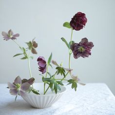 purple flowers in a white bowl on a table