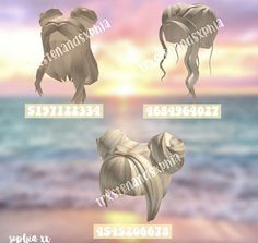 three images of seashells on the beach at sunset or sunrise, with text below them