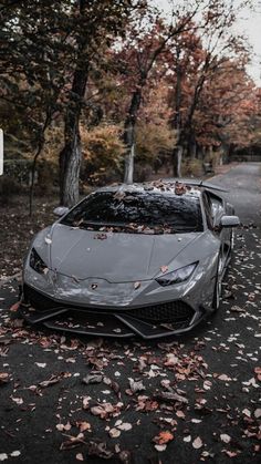 a grey sports car parked on the side of a road with leaves all over it