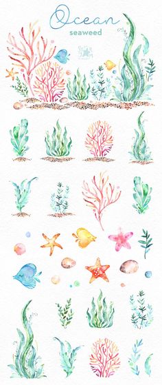 watercolor drawing of seaweed and corals on white paper with the words ocean written in