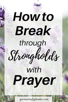 lavender flowers with the words how to break through struggles with prayer