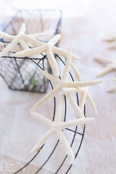 several white starfishs are in a wire basket on a wooden table with other sea stars