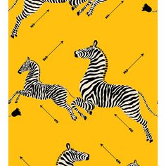 an image of zebras in the wild with arrows on yellow background, wallpaper