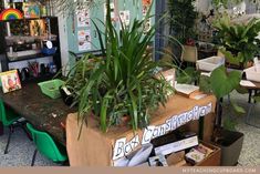 there is a table with plants on it in the room that has many other things