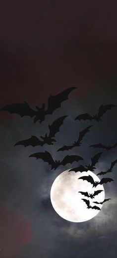 bats flying in front of a full moon