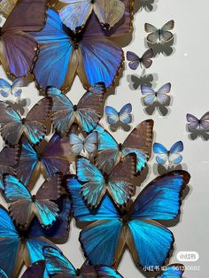 many blue butterflies are flying in the air