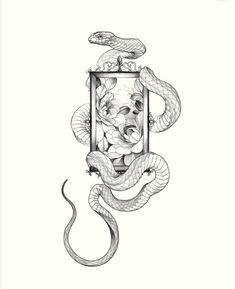 a black and white drawing of a snake in a frame with flowers on the side