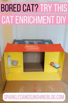 an open cardboard box with the words bored cat? try this cat enrichment diy