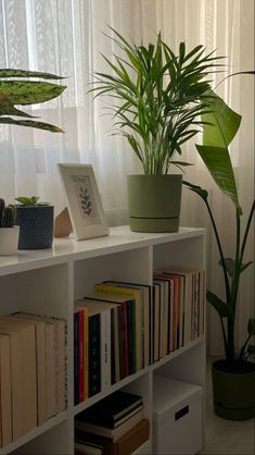 a white shelf with books and plants on it