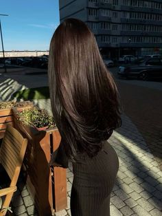 Dark Brunette Aesthetic, Warm Black Hair, Straight Dark Brown Hair, Black Hair Aesthetic, Black Brown Hair, Long Shiny Hair, Long Dark Hair, Dark Brown Hair Color, Long Brown Hair