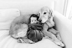 a dog and a baby sitting on a couch