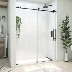 a bathroom scene with focus on the shower door and rug in the foreground, there is a potted plant next to it