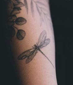 a black and white photo of a dragonfly on the arm