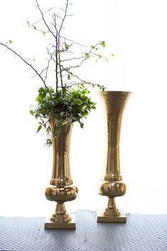 two gold vases with plants in them on a table