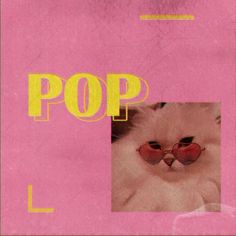 a pink book cover with a cat wearing sunglasses and the words pop l on it