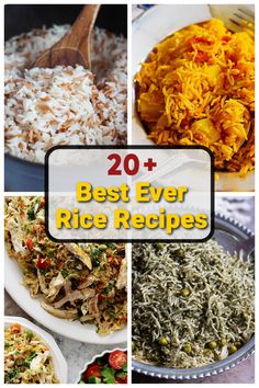 20 best ever rice recipes that are easy to make