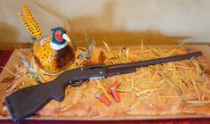 Upland Pheasant Cake - Ultimate Pheasant Hunting Forum Pheasant Cake, Camo Cakes, Hunting Photos, Pheasant Shooting, Men Cakes, Sports Themed Cakes, Hunting Cake, School Function